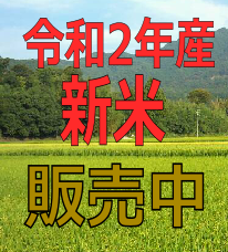 ���S���ς̒ʔ̃y�[�W�ł�